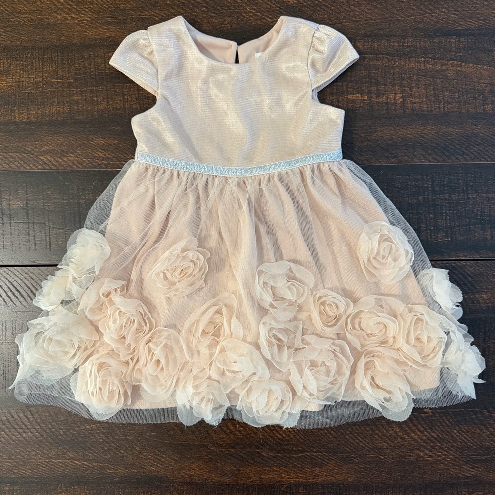 Nannette Rosette Tulle Party Dress Pink 18M Shimmer Wedding Flower Girl